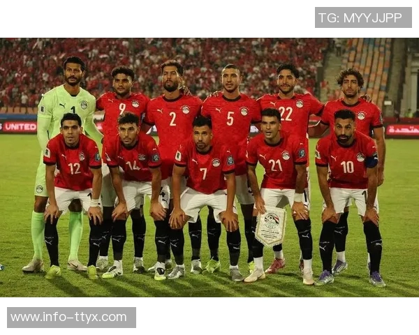 埃及队公布非洲杯初选名单萨拉赫与马尔穆什领衔出征